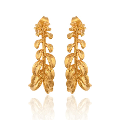 Gold Hoop Earrings for Women and Girls